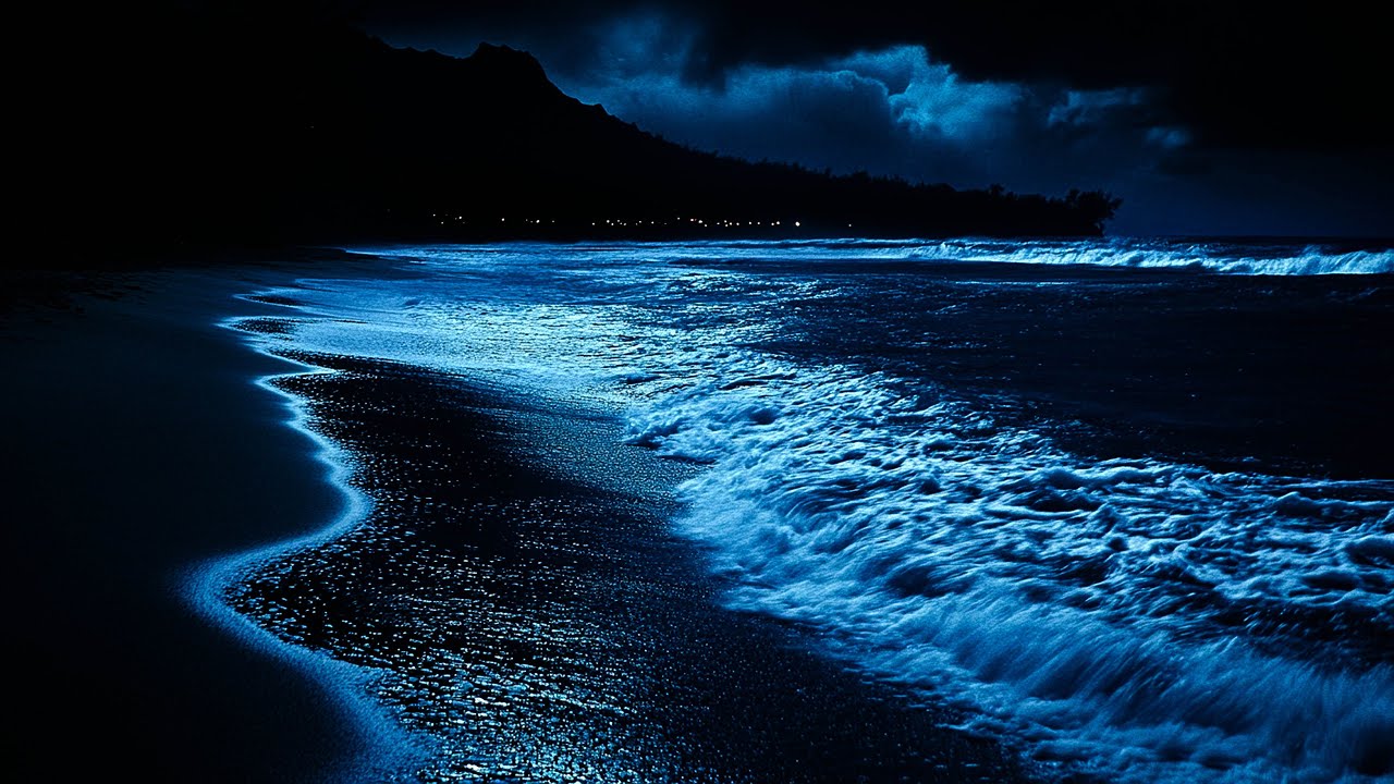 Fall Asleep In Under 3 Minutes - 10 Hours of Ocean Wave Sounds for Mental Reset Emotional Relaxation