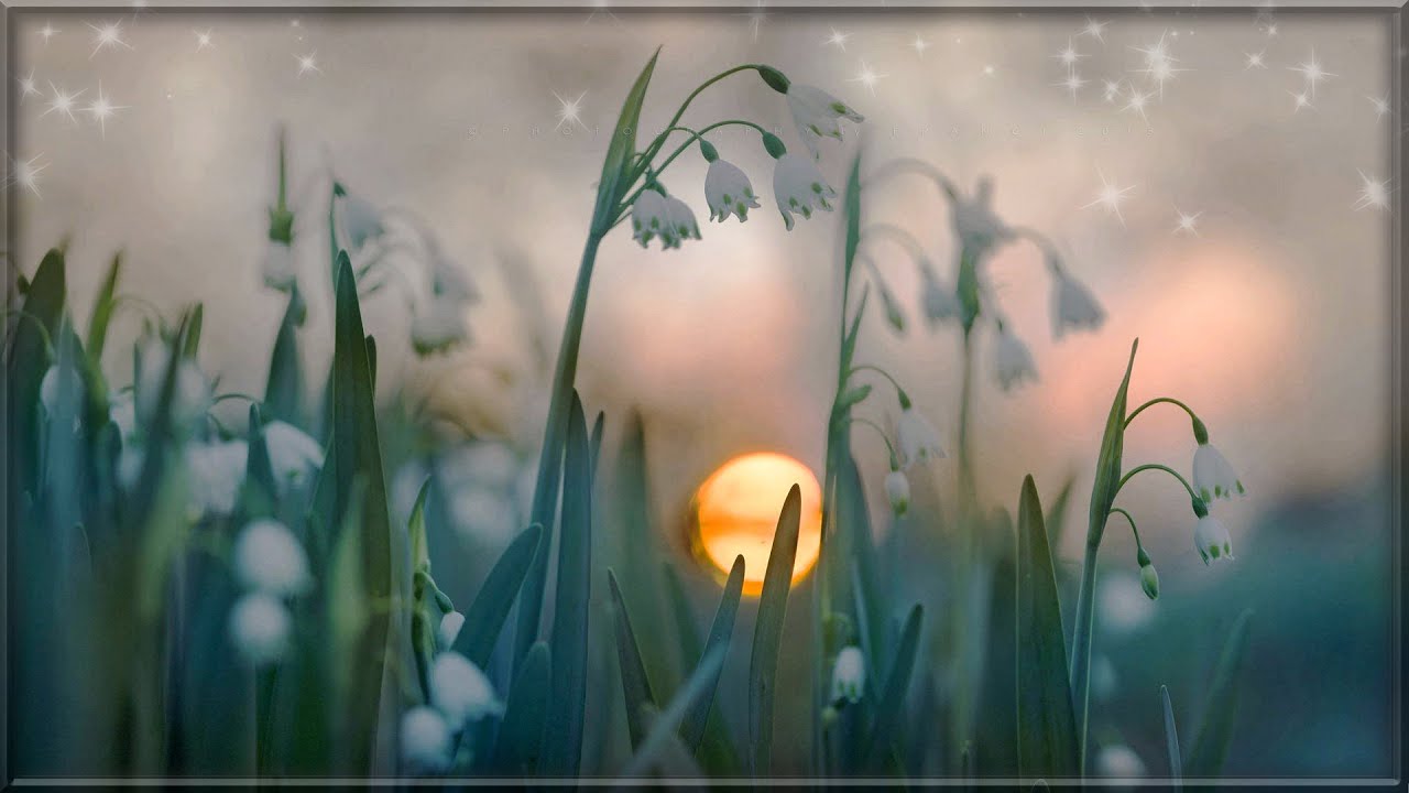 Sprüche u. Zitate ♡ zum Kraft tanken und Mut machen ♡ Teil 2 *❀*