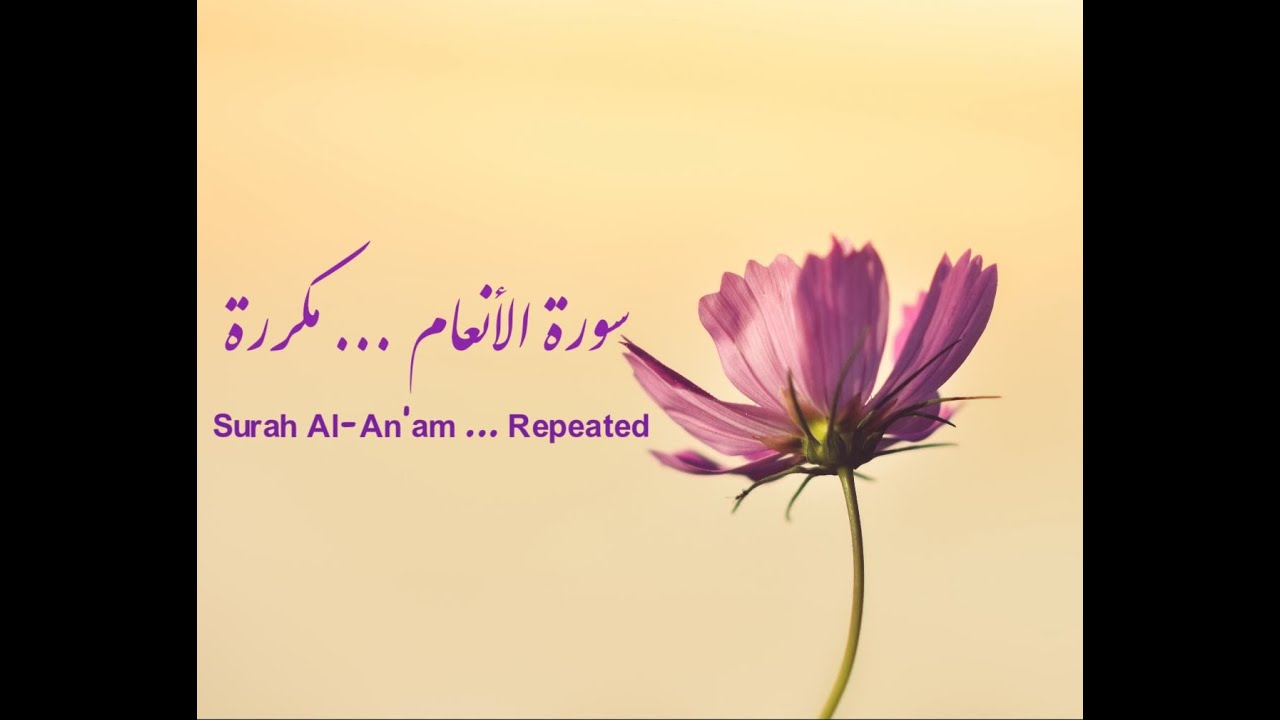 سورة الأنعام الآيات 114  --  118 مكررة . Surat ( Al ANAAM ) verse 114 --- 118 are    repeated