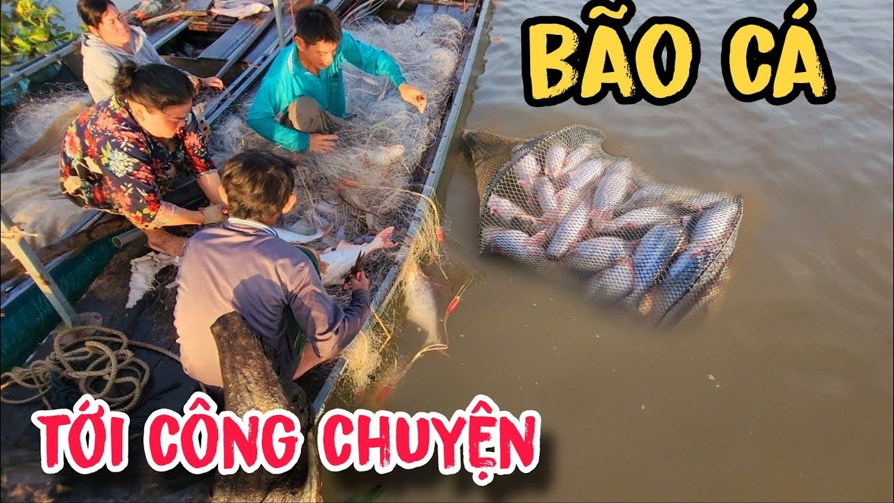Được Qúy Nhân Phò Trợ, Ghe Lưới Anh Tèo Kéo Được Bầy Cá Khủng | #66TV #fishing