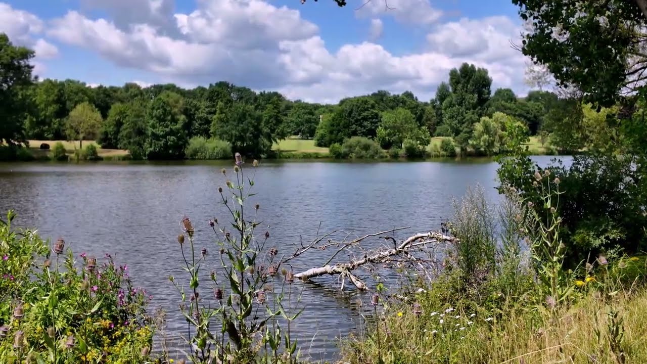 🇩🇪 Münster 4K] "Runde um den neuen Aasee in Münster" (4K50 FPS HDR) 11/JULI/2025
