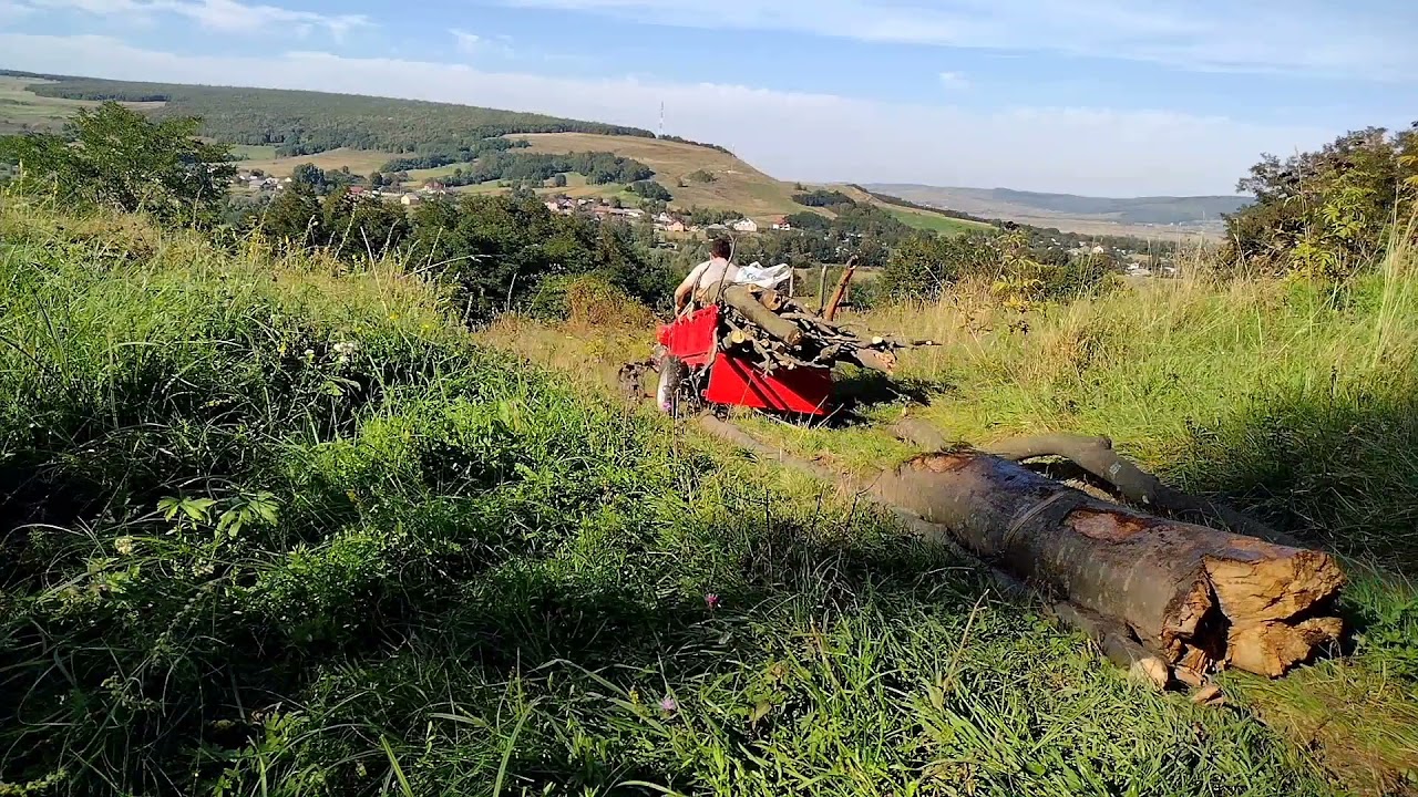Cu motocultorul la pădure după lemne