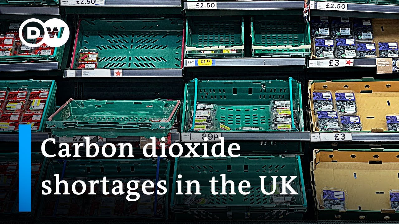 Brexit supply chain barriers cause food and carbon shortages in the UK | DW News