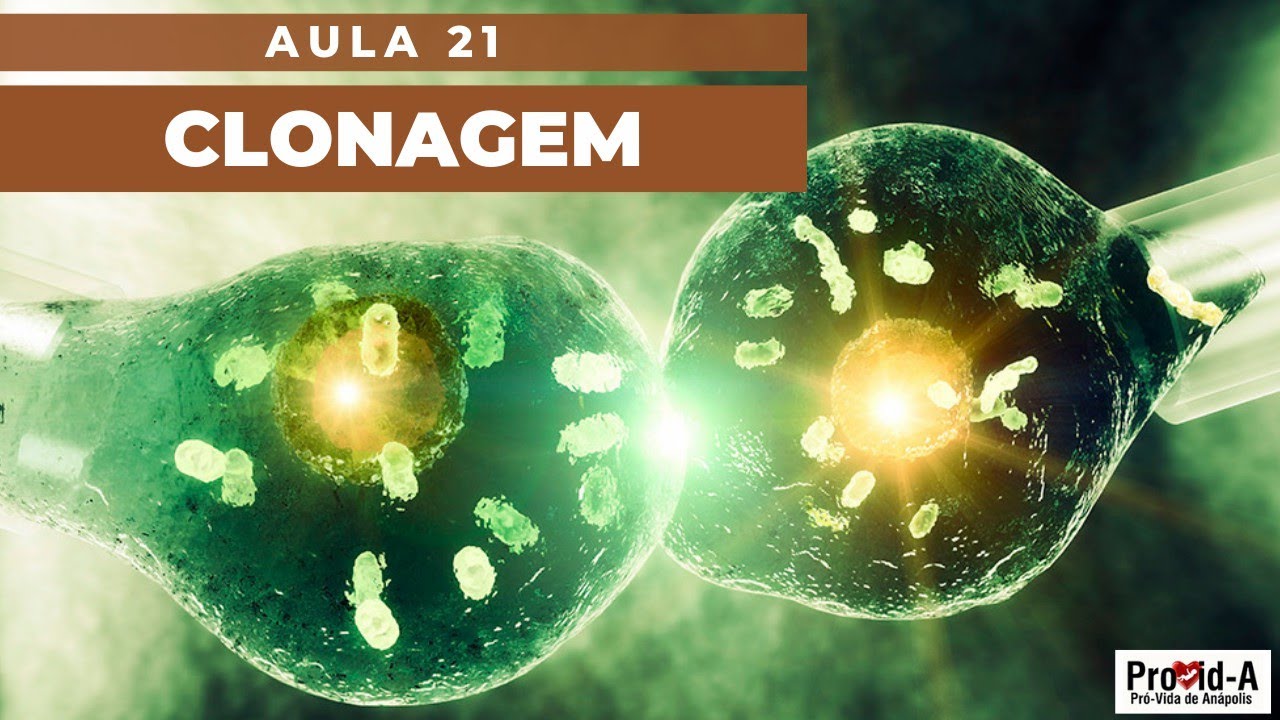 AULA 21 - CLONAGEM