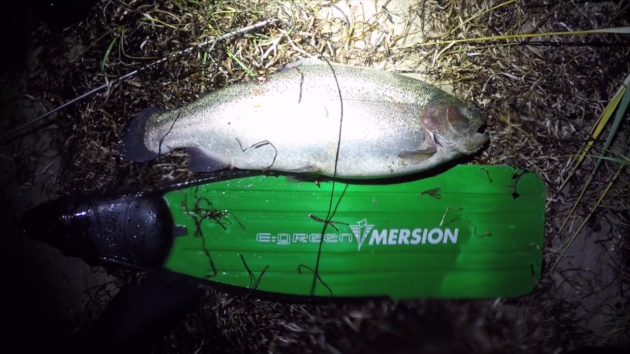 UV-jagt &oslash;rreder og fladfisk p&aring; fyn