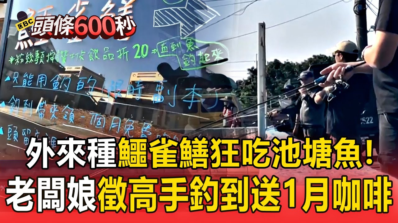 外來種鱷雀鱔狂吃池塘魚「老闆娘徵釣魚高手」！除惡魚者「一個月咖啡免費喝」【頭條600秒】