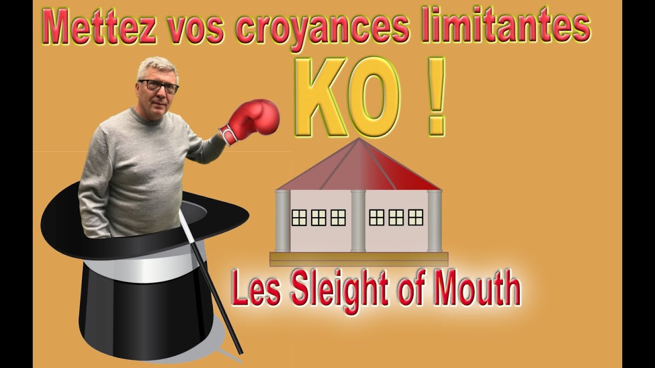 14 patterns pour mettre KO vos croyances limitantes, Les sleight of mouth