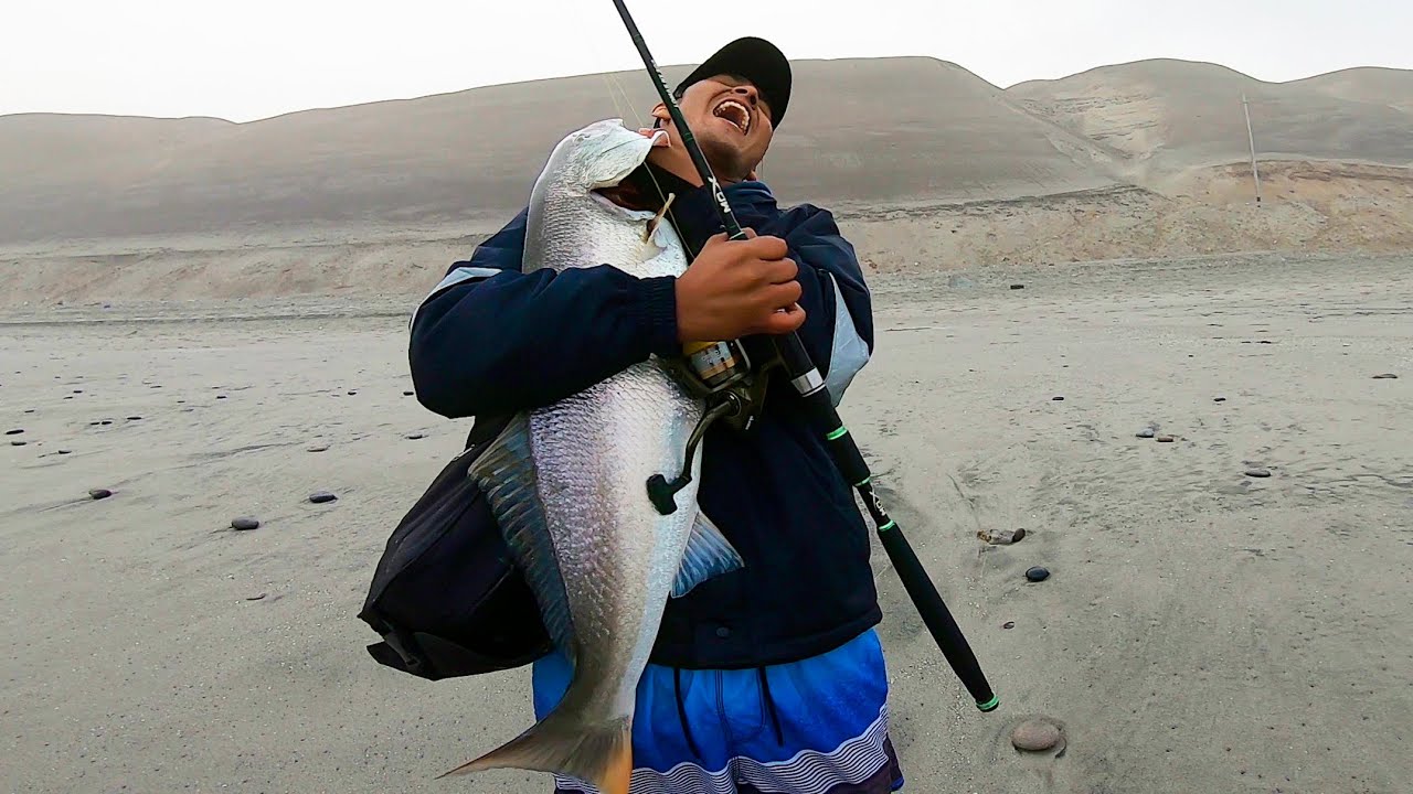 La corvina de su vida a 10 metros de la orilla