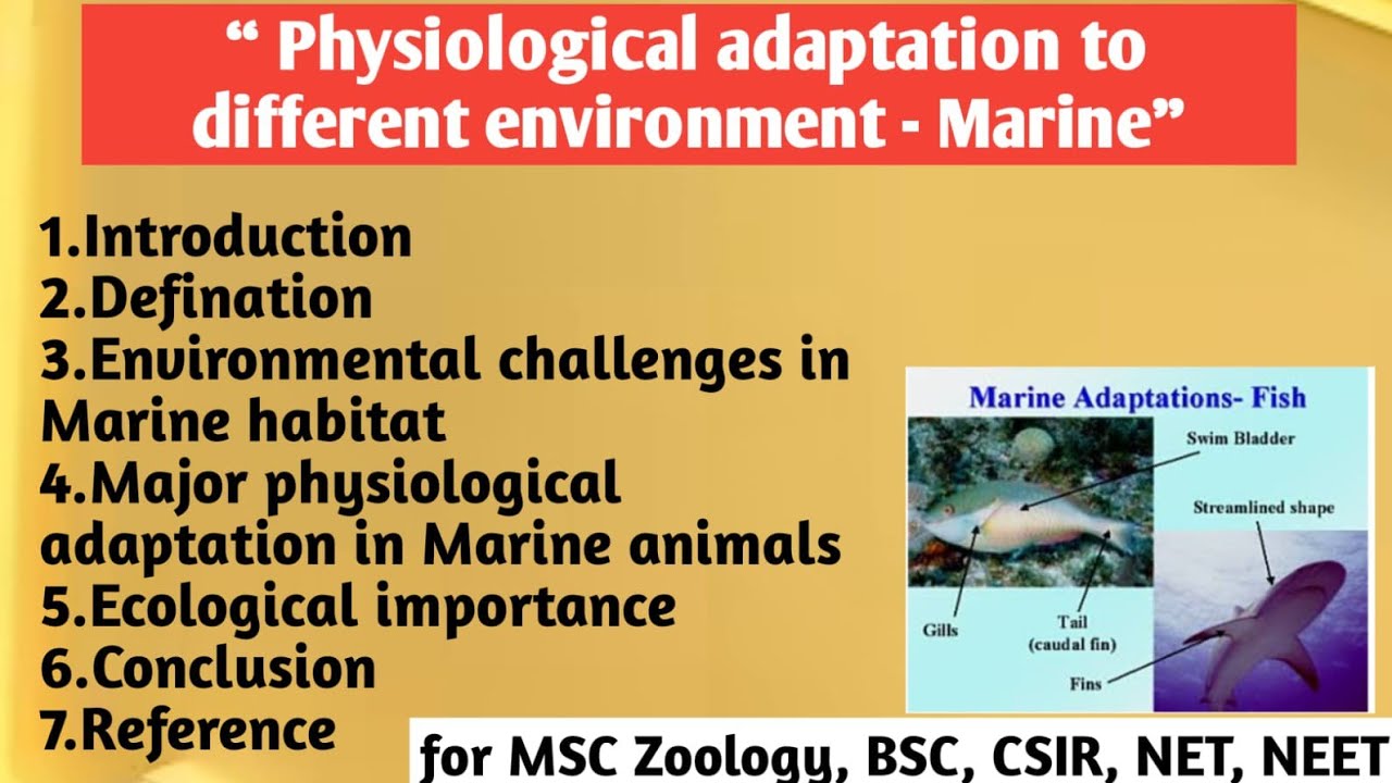 Marine | Physiological Adaptation to Different Environment | Marine Adaptation | Adaptation