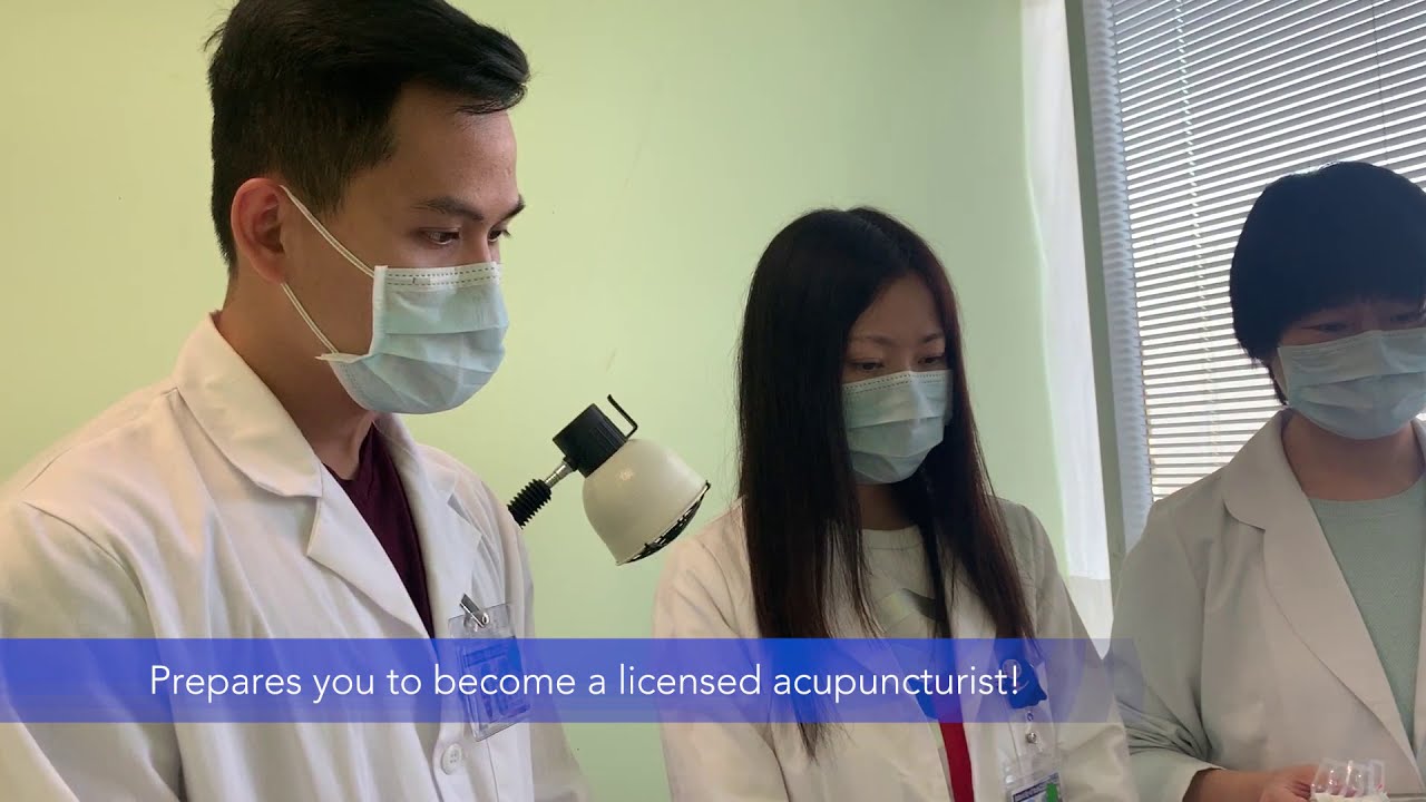 University of East-West Medicine - Acupuncture School