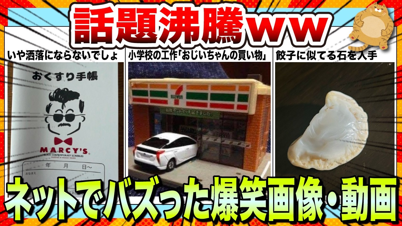 【🔥爆笑】3連休を笑って充実させちゃおうwwネットで大バズりした爆笑画像&動画集www【2ch】【5ch】【ゆっくり解説】【コメ付き】【面白画像】