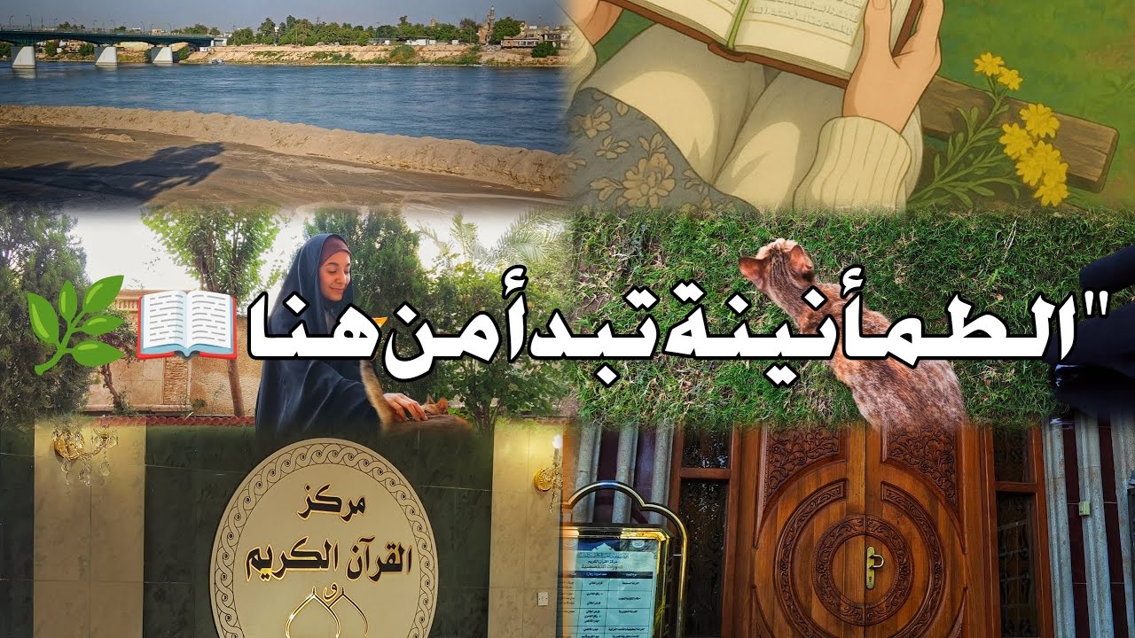 يوم واحد يتكرر كل أسبوع بتجارب جديدة !