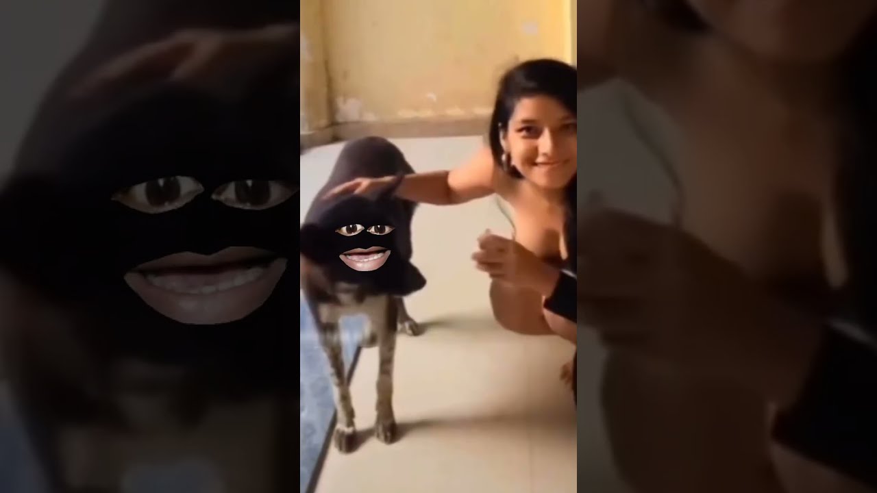मैं हूं बागड़बिल्ला