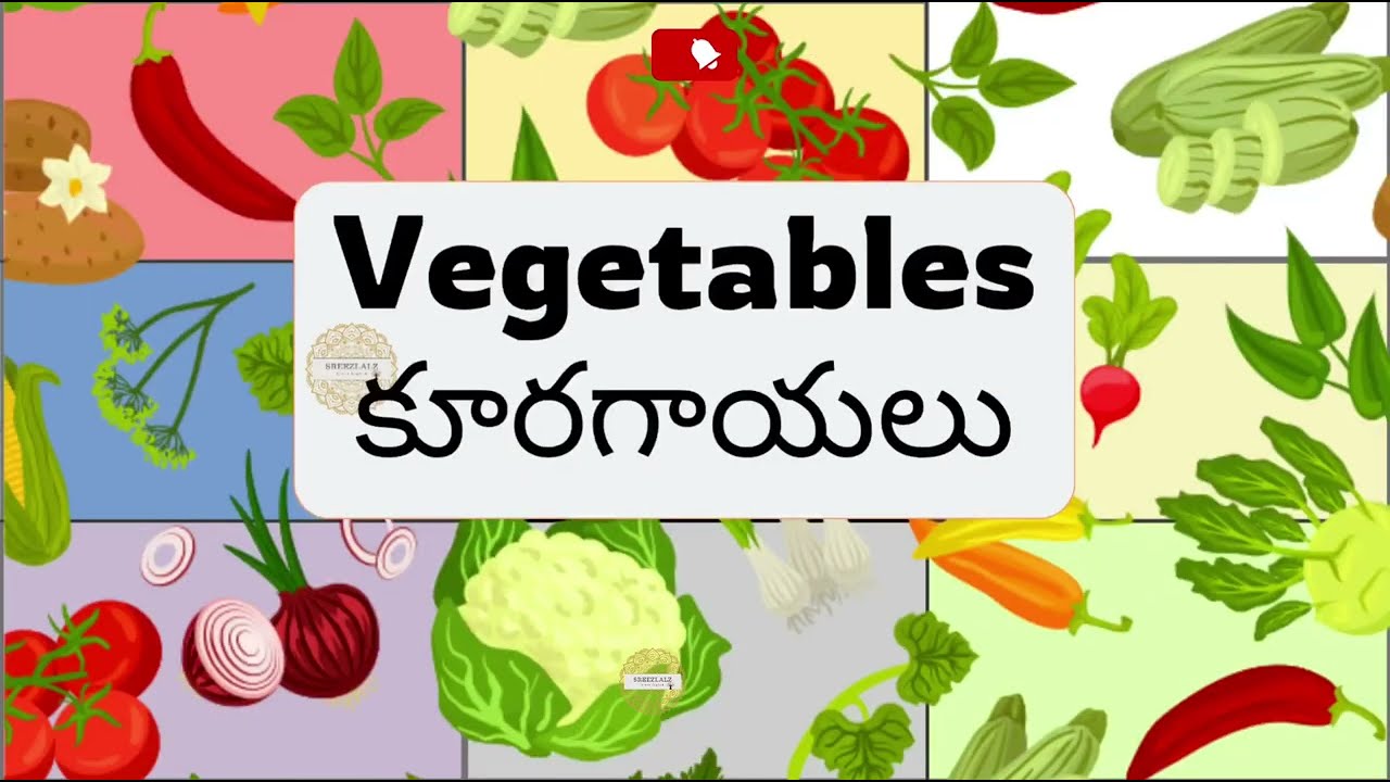 Learn Vegetable names in English #basicenglish #ఇంగ్లీష్ #తెలుగు #vegetables 