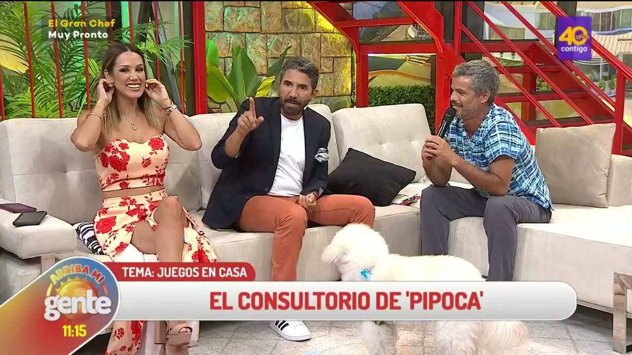 📹Arriba Mi Gente| En el 'Consultorio de Pipoca' hablamos de la importancia de jugar con tu mascota