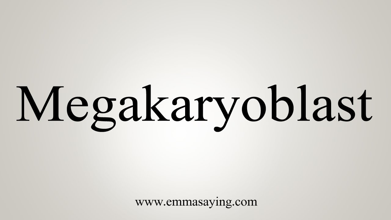 How To Say Megakaryoblast