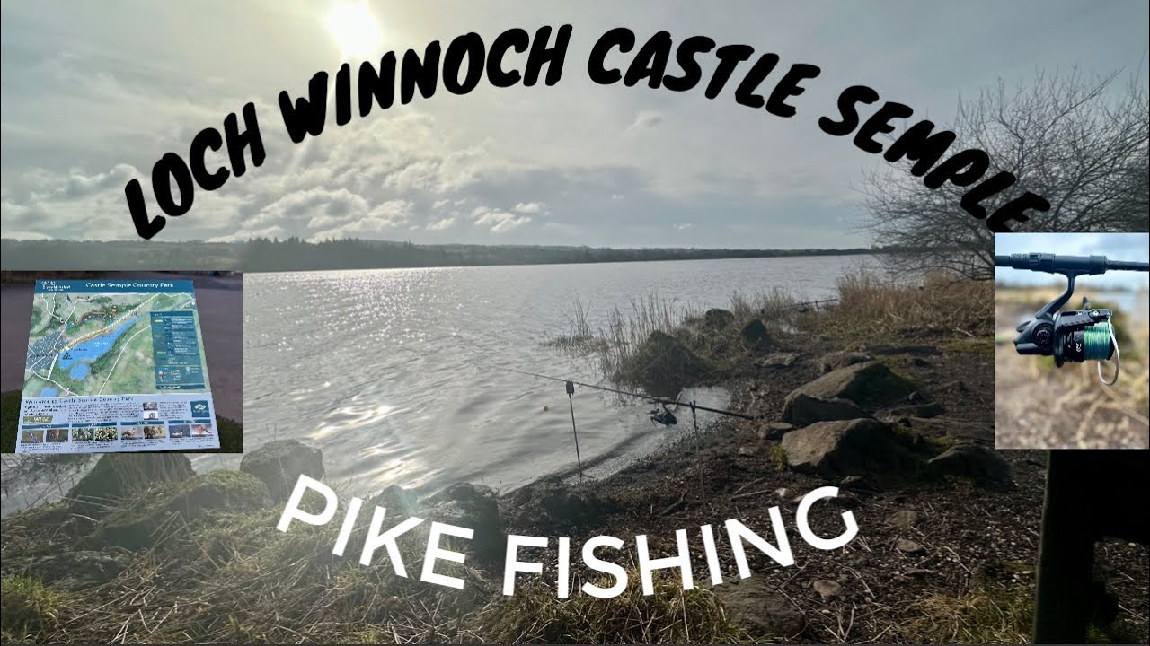 Loch winnoch fishery and Castle Semple  pike fishing
