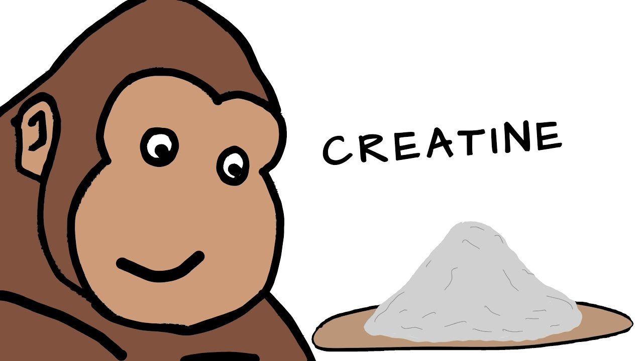 Creatine Explained By Ape 