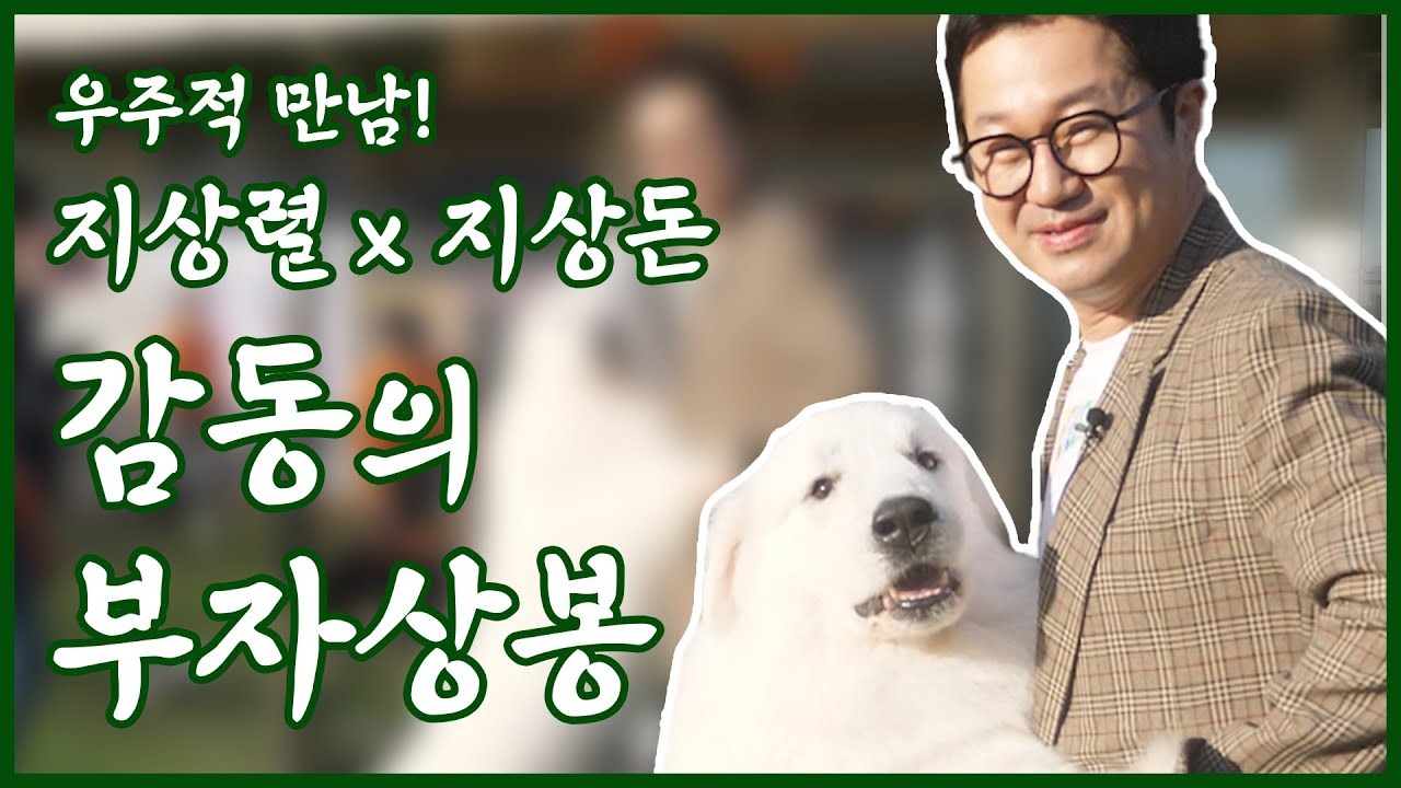 상돈아 아빠왔다. - 감동의 부자상봉