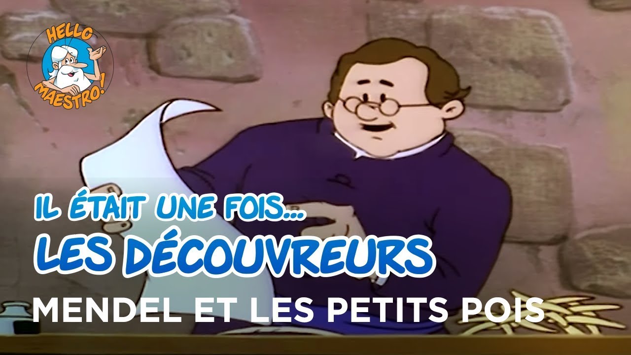 Il était une fois… les Découvreurs 🤔- Mendel et les petits pois 🧬