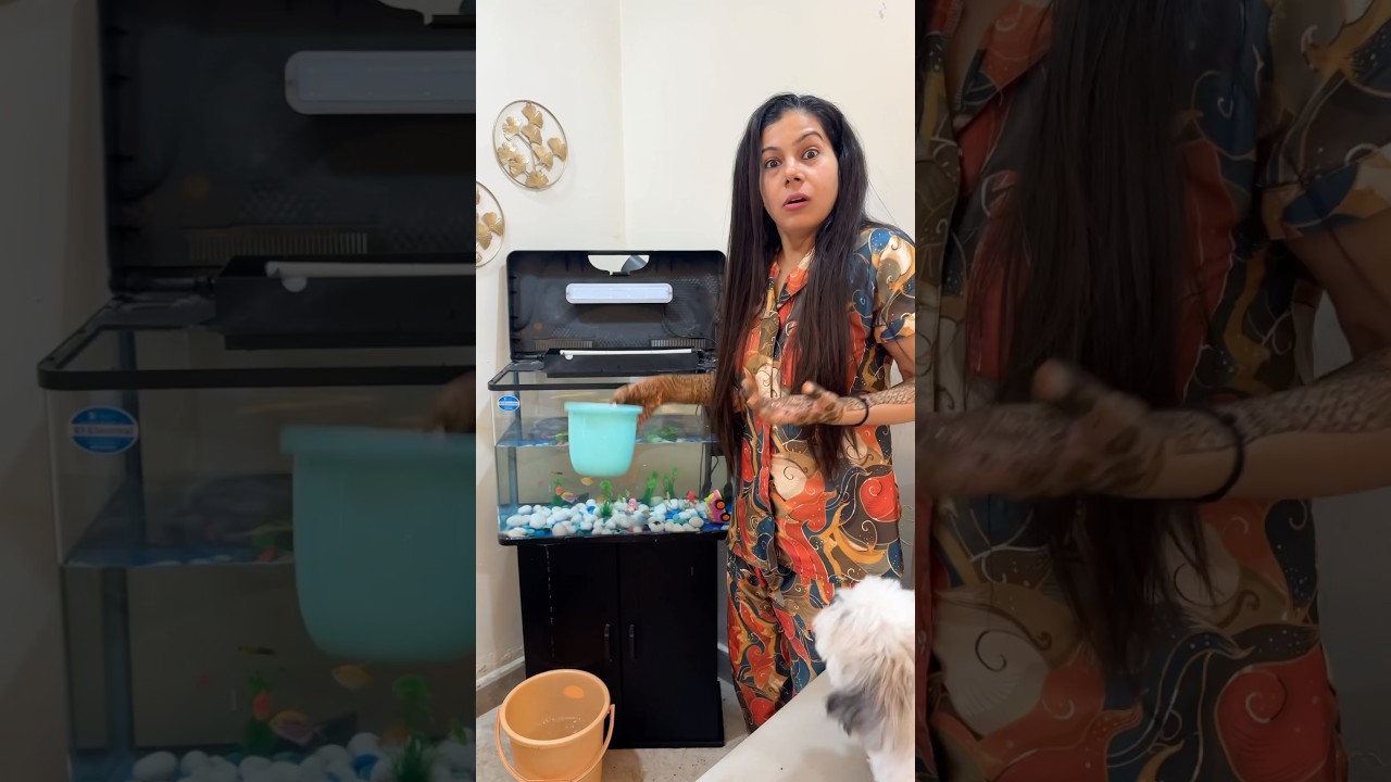 Aquarium Tuut Gaya Pani Leak Ho Gaya 🐟🐠#aquarium #fishes #minivlog #sanjhalikavlog #hugefish