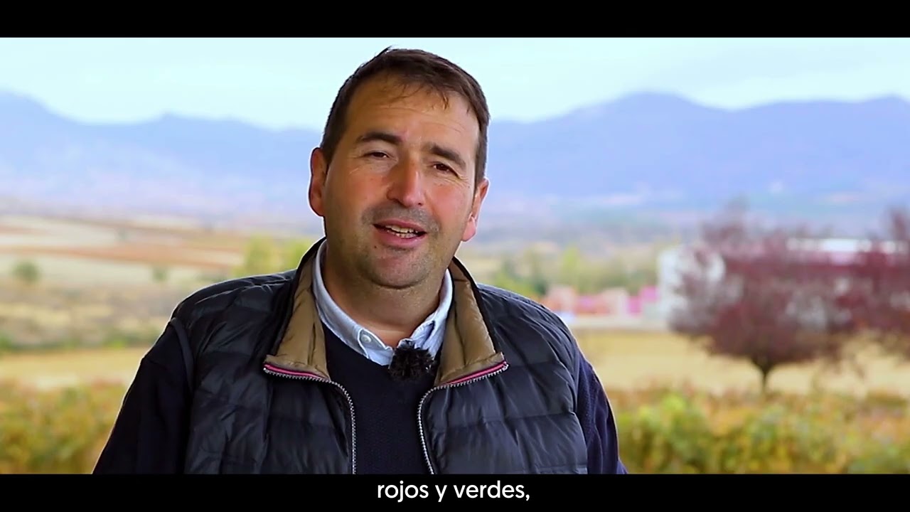 Valle del Oja. El 