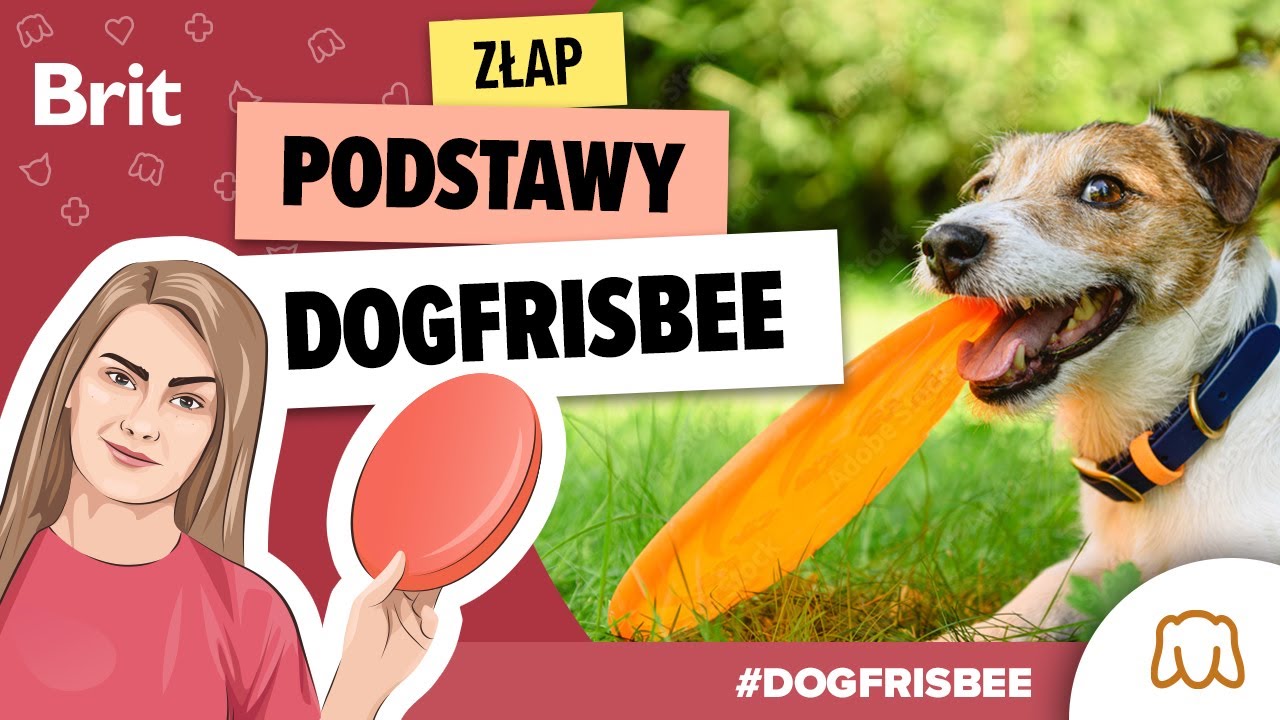 DOGFRISBEE: Złap podstawy z Pajonk Team! odc. 1 - Brit Polska