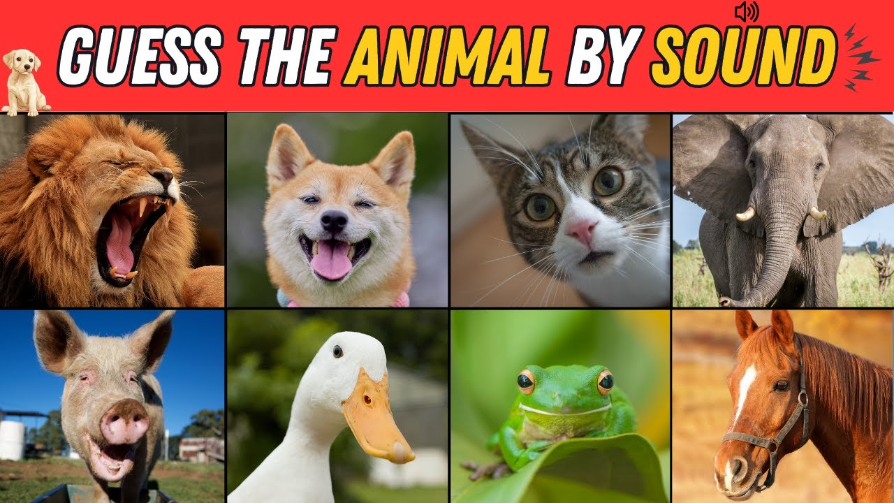 Guess the Animal by Sound | 3 Seconds Quiz | Fun Animal Game for Kids