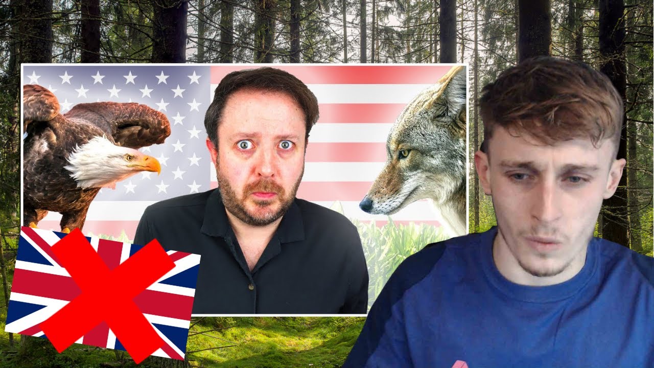 British Guy Reacting to 8 Wild Animals I Only Encountered After Moving to America