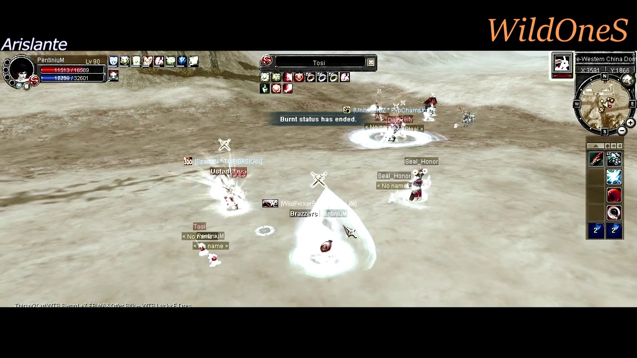 Electus Online PentiniuM PVP [90 lvl Full int Spear]  Silkroad Online