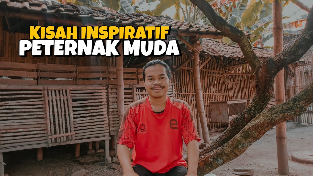KISAH INSPIRATIF PETERNAK MUDA YANG GAGAL DALAM BETERNAK AYAM
