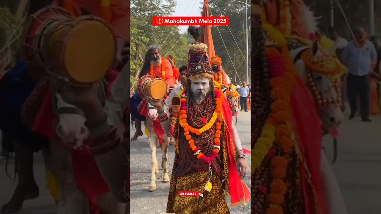 Mahakumbh Mela☠️🚩#mahakumbh #mahakumbh2025 #prayagraj #agoribaba #shortvideo #shorts #kumbh #safety