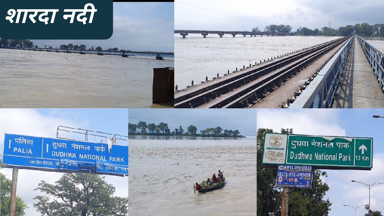 शारदा नदी Palia kalan || Sharda bridge palia kalan lakhimpur kheri ||बाढ़ का पानी #trending #video