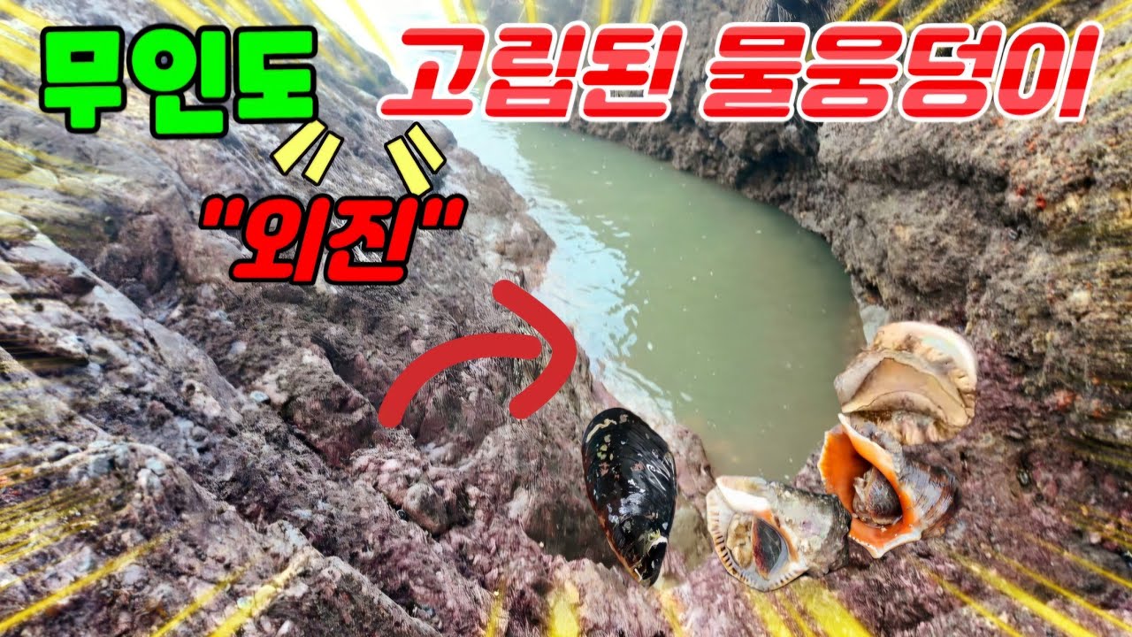 파도에 깍인 인적드문 고립된 갯바위 사이 물웅덩이 틈새!!
