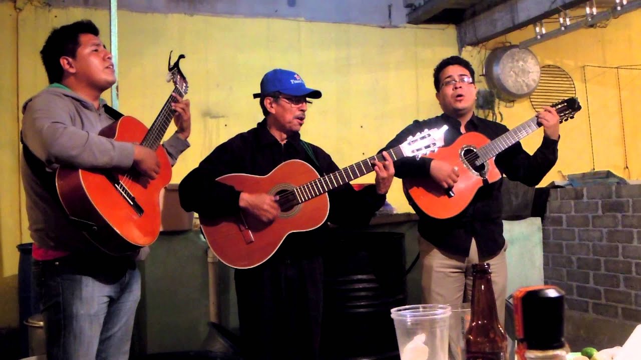 Tardes De Bohemia/Trio - El Libro