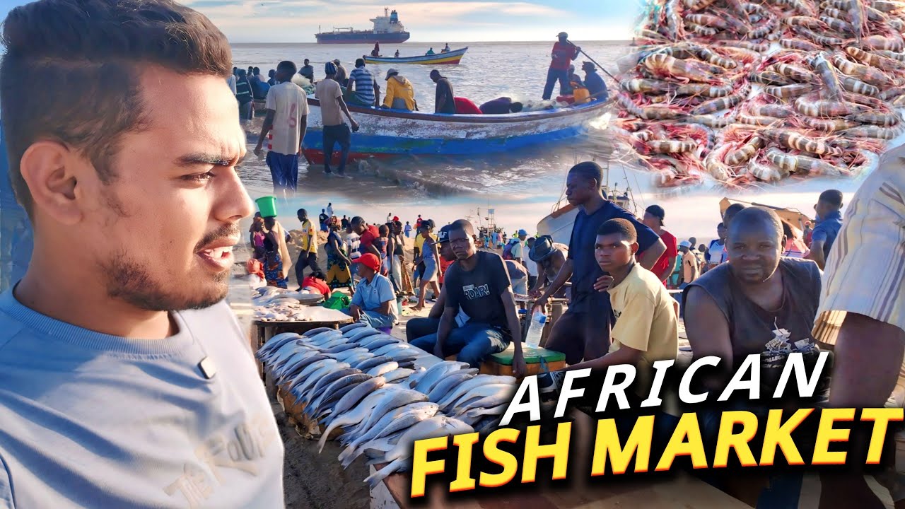 FAMOUS & CHEAPEST FISH MARKET IN AFRICA!