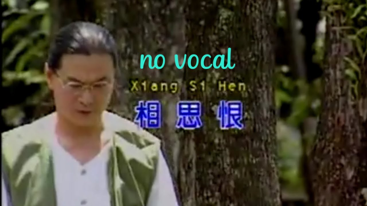 相思恨 Xiang Si Hen 伴奏 karaoke 黄金佑 Huang Jin You