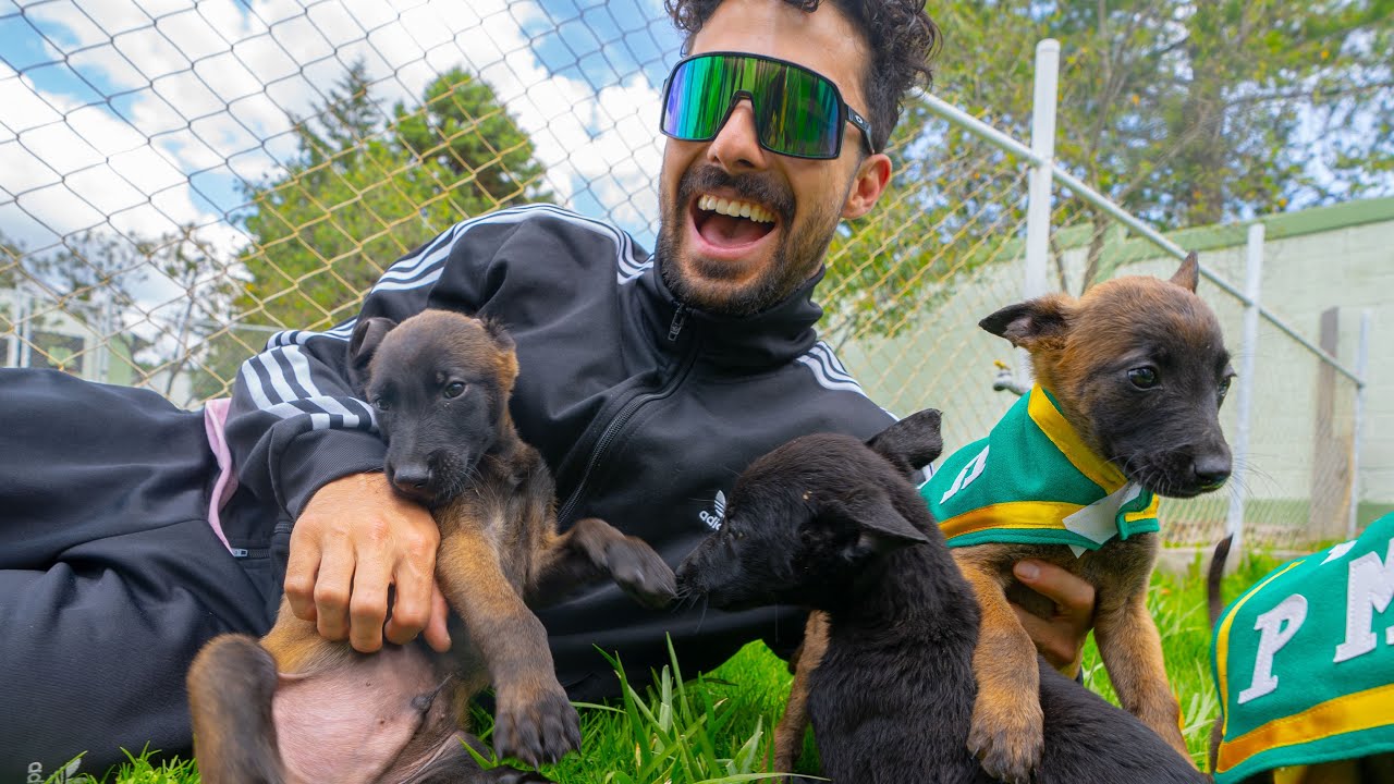 ASÍ SON LOS CACHORROS DE POLICÍA MILITAR! 😱 Detectan DR0GA$