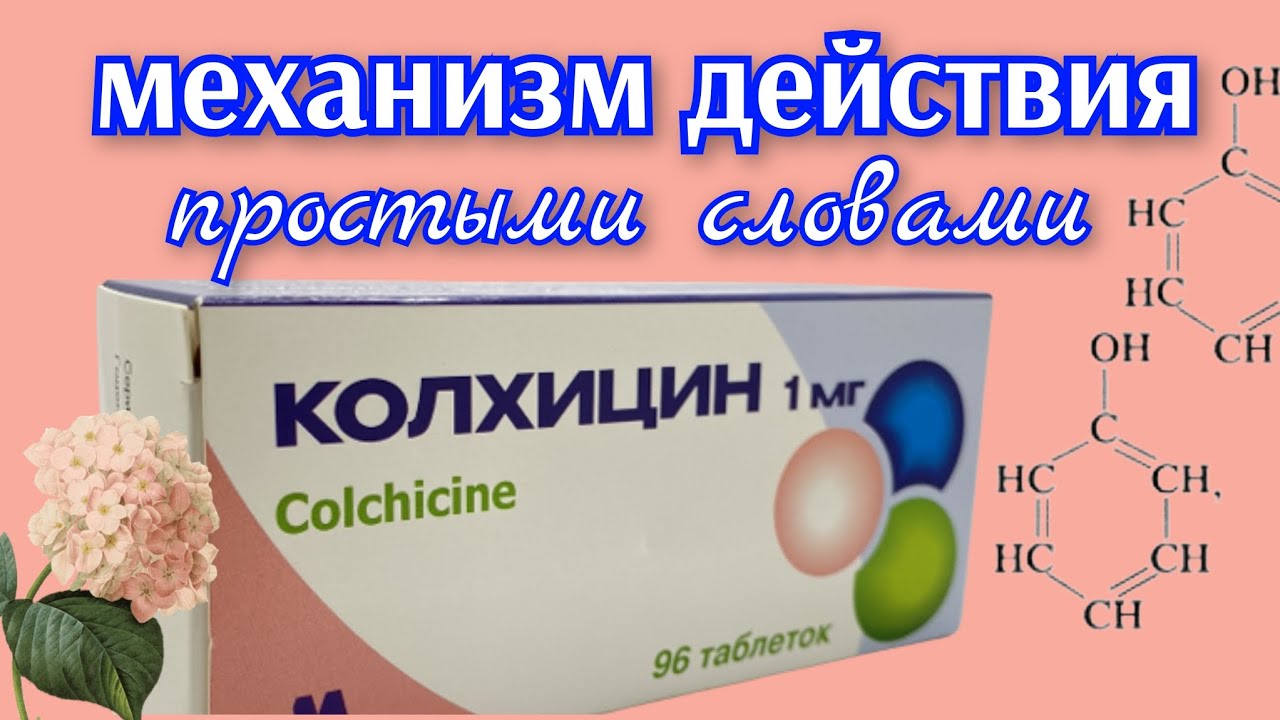 КОЛХИЦИН для лечения Подагры. Механизм действия (простыми словами).