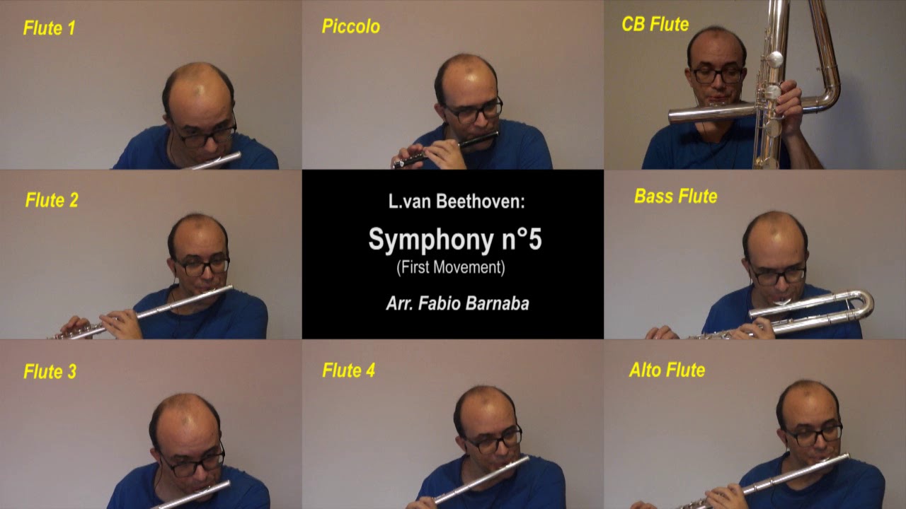 L. van Beethoven - Symphony n°5 (1° Mov.) - for Flute Choir