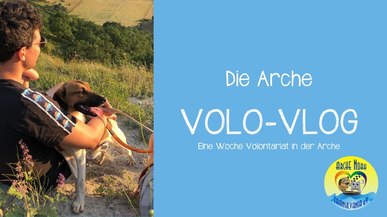 🏡 |DIE ARCHE - Volo-VLOG: Eine Woche Volontariat in der Arche| 🏡