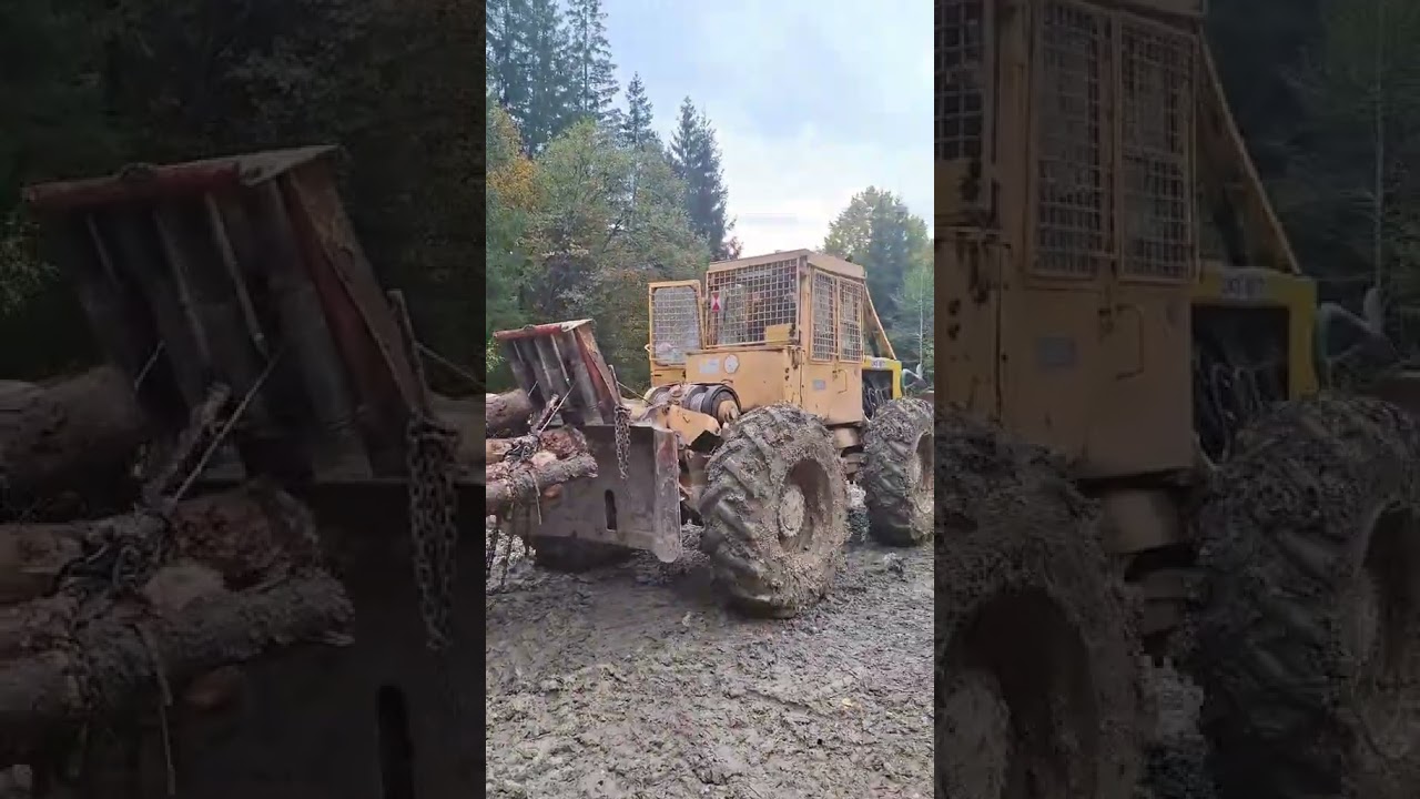 ​LKT 81 T: Nezastaviteľná sila v slovenskom lese.💪🌲​#lkt #lkt81t #lesnetraktor #forestry#woodworking