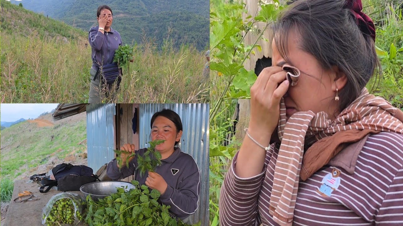 ib leeg niam muaj ib txoj kev nyuaj siab li os lawv aw