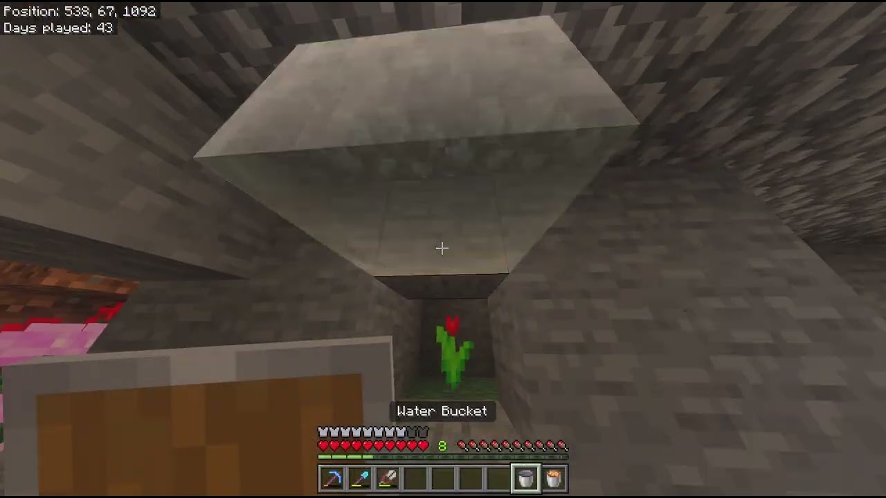 MC Going to the Nether