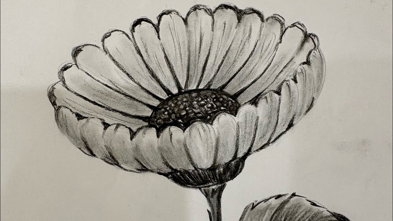 Drawing  tutorial for beginner-Day 1 #drawing #sketching 