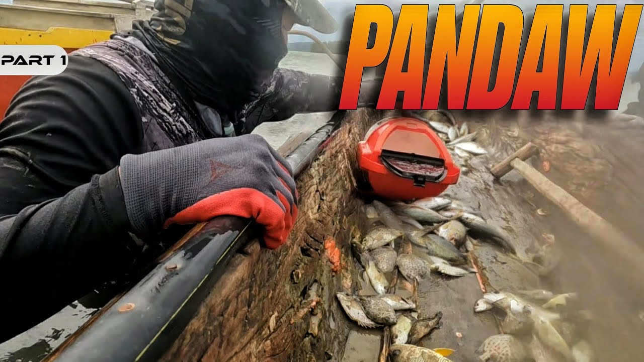 P1 - Pandaw sa Malamig na Panahon