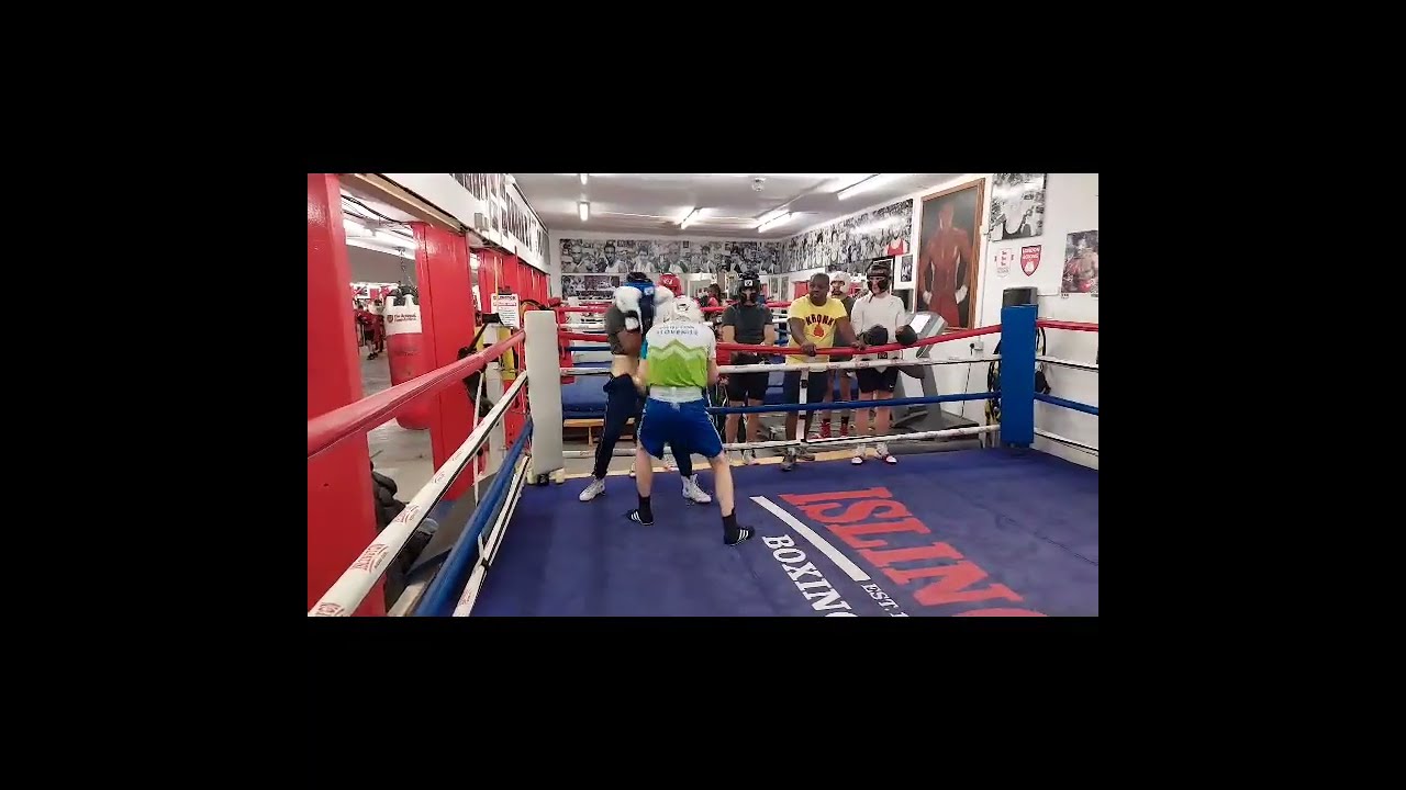 Boksarski sparingi v Londonu