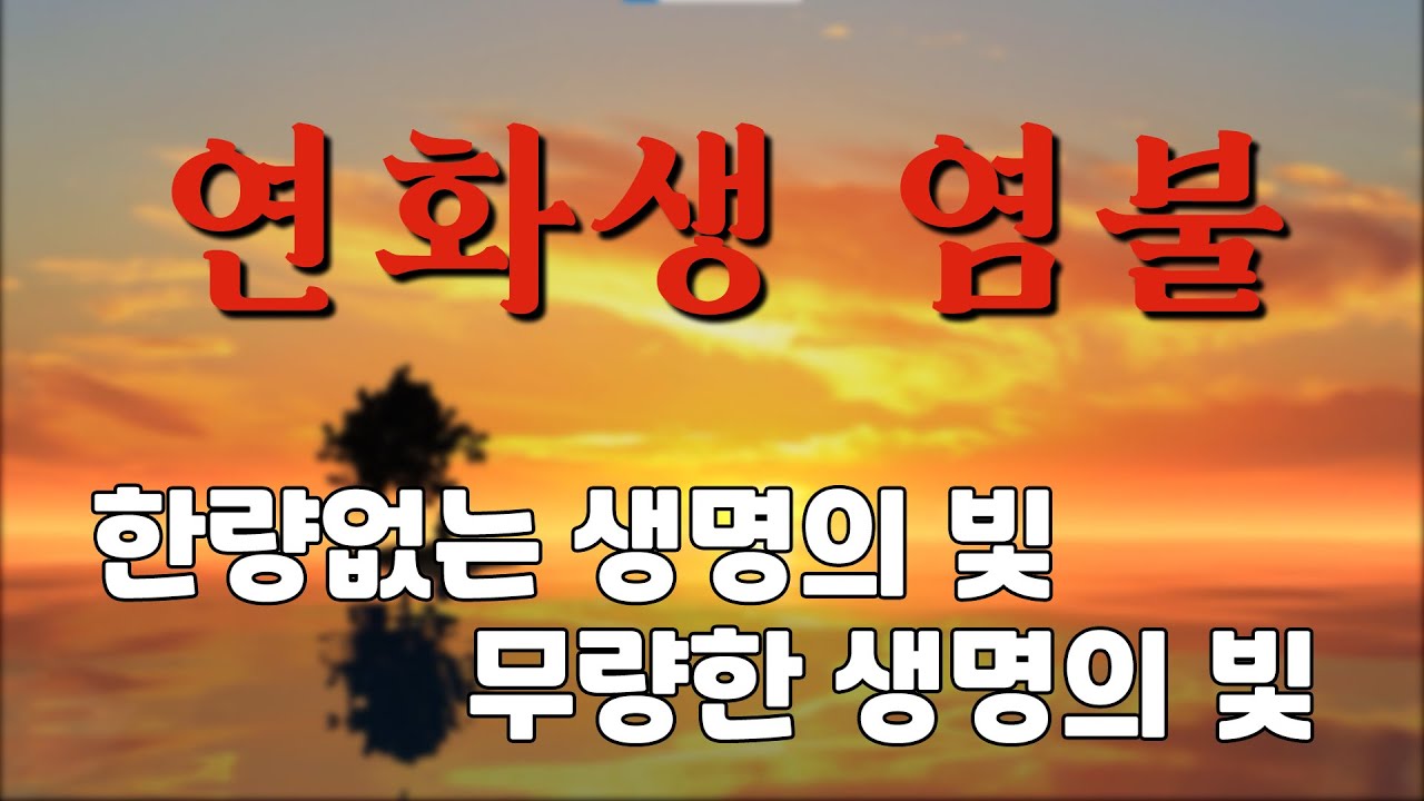 정토마을 [능행스님의 임상기도] 7.연화생 염불