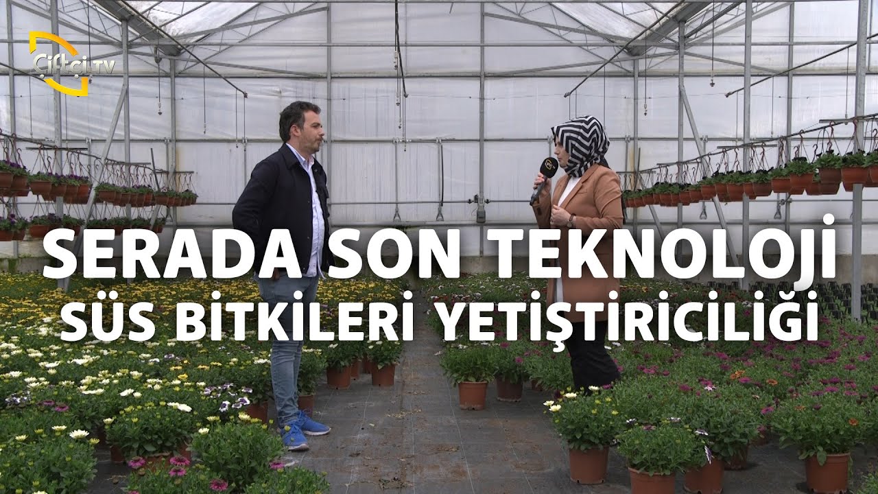 Serada Son Teknoloji! (süs bitkileri yetiştiriciliği) - Toprak Bacı
