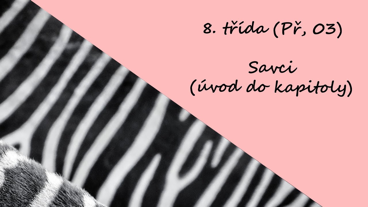 8. tř&iacute;da (Př, 03) - Savci (&uacute;vod do kapitoly)